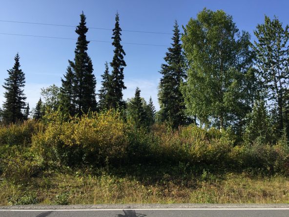 63787 Oil Well Rd, Ninilchik, AK 99639